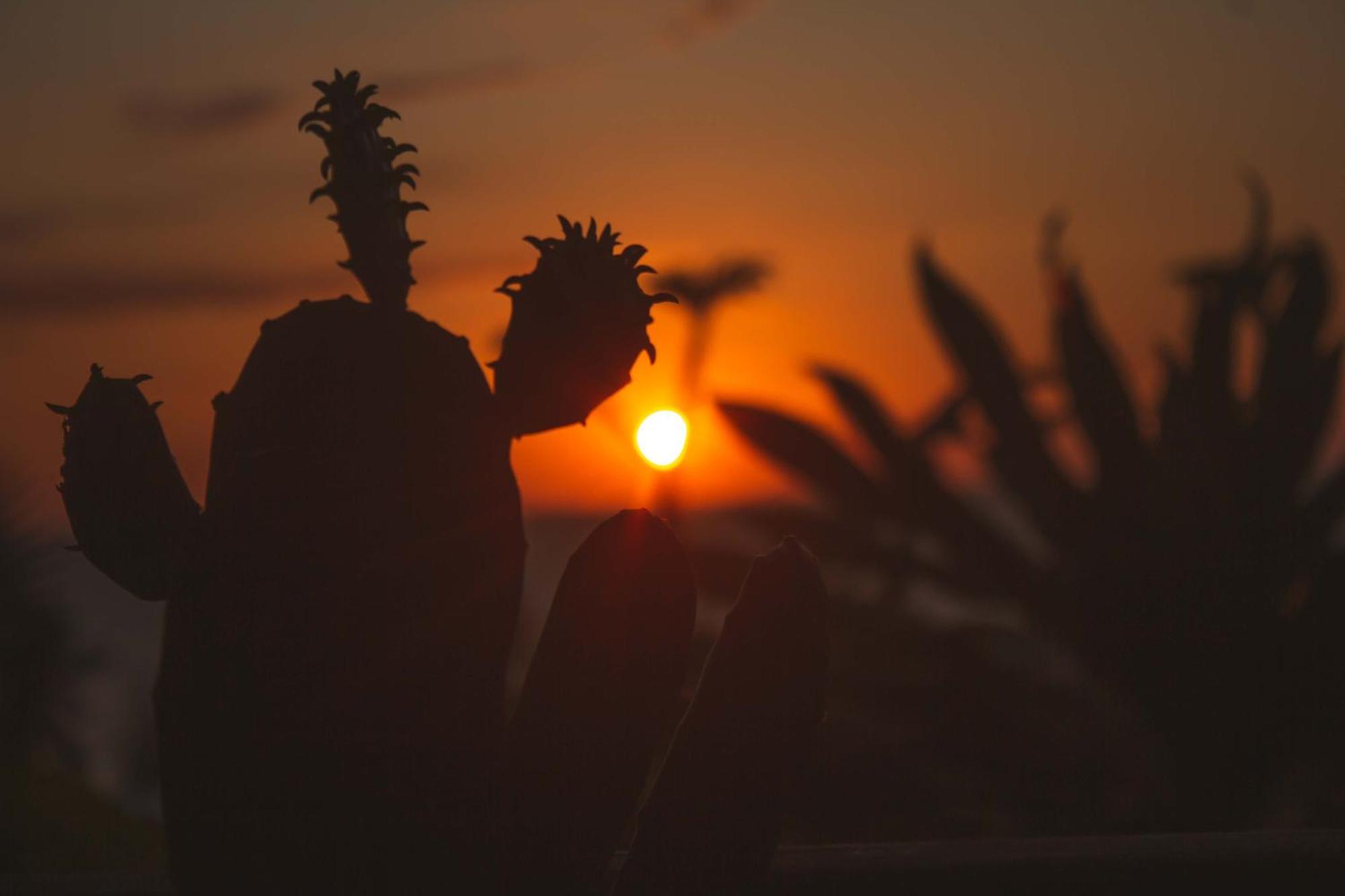 Coucher De Soleil Ambatoloaka  Exterior foto